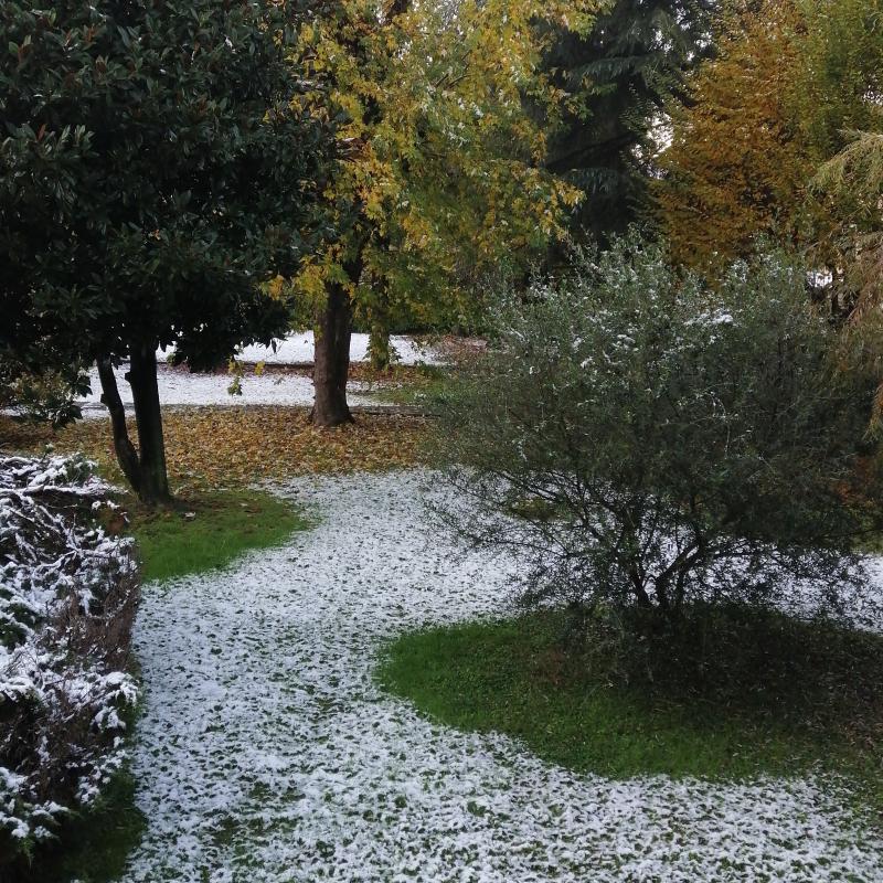 Fotosegnalazione di San mauro torinese