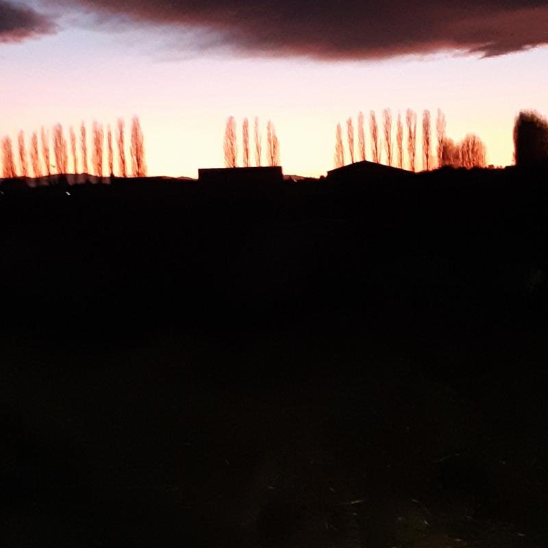 Fotosegnalazione di Casumaro