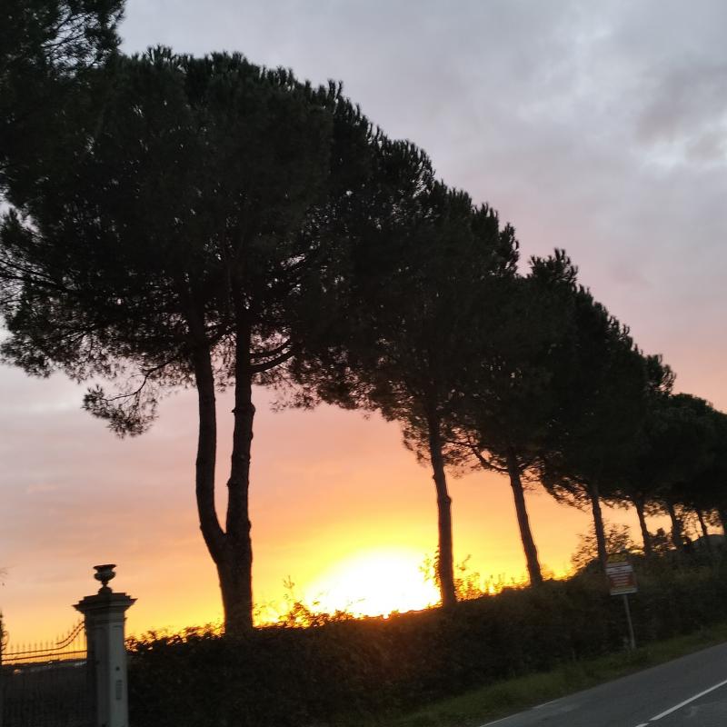 Fotosegnalazione di Forli' carpena