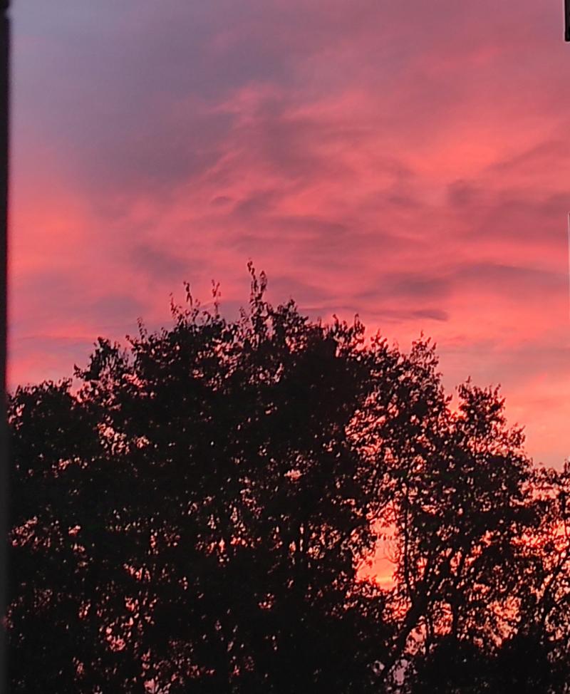 rosso tramonto s. rita.