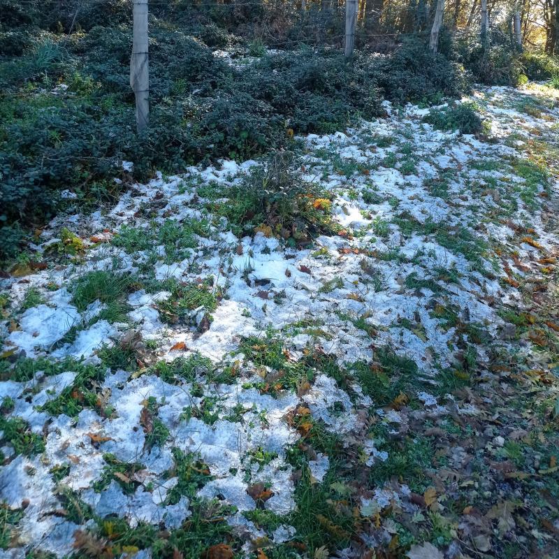 Fotosegnalazione di Vico del gargano