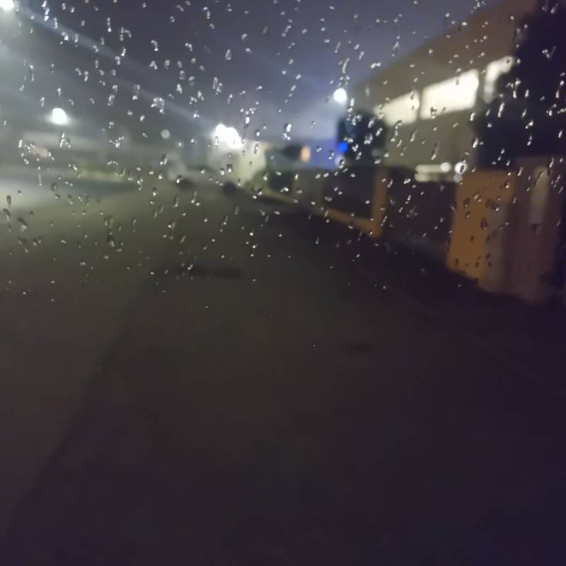 Fotosegnalazione di Quarto d'altino