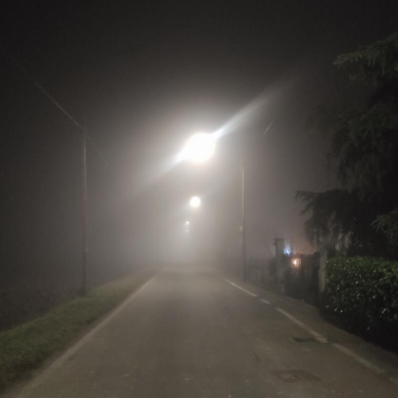 Fotosegnalazione di Zerbo