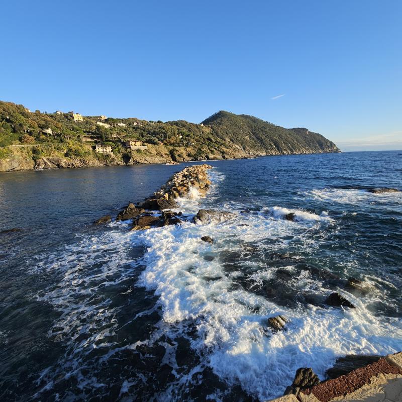 Fotosegnalazione di Sestri levante