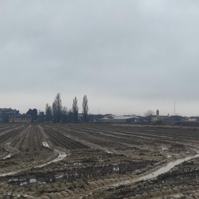 Fotosegnalazione di Zerbo