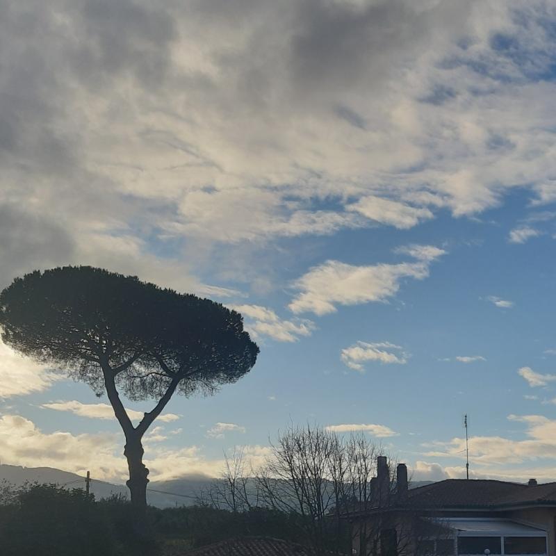 Fotosegnalazione di Frascati