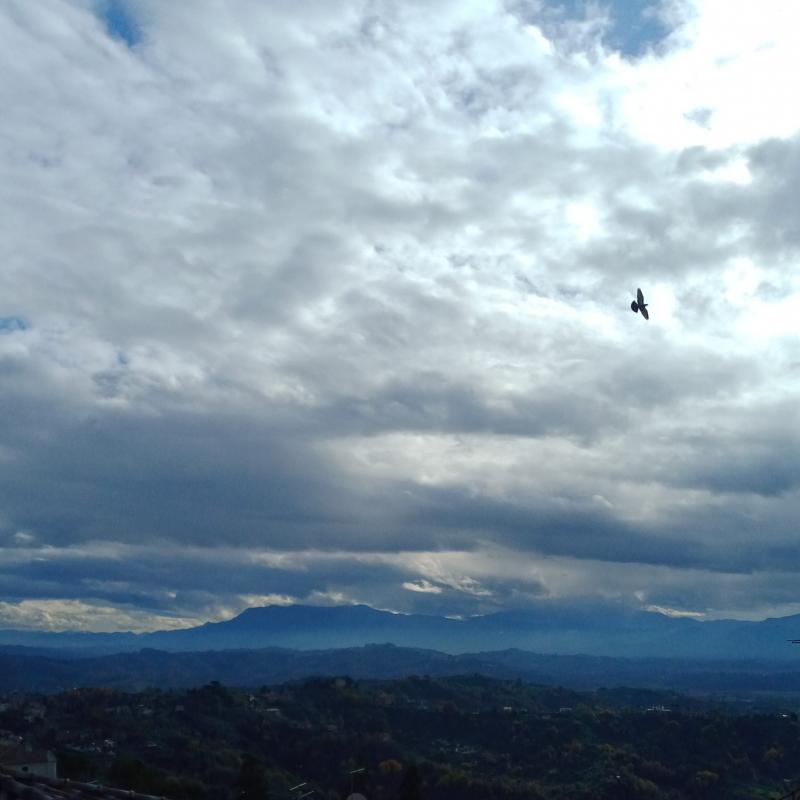 Fotosegnalazione di Olevano romano