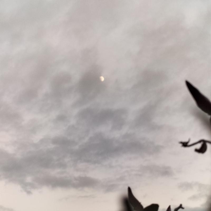 Fotosegnalazione di Vasto