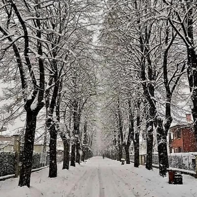 Inzago innevata