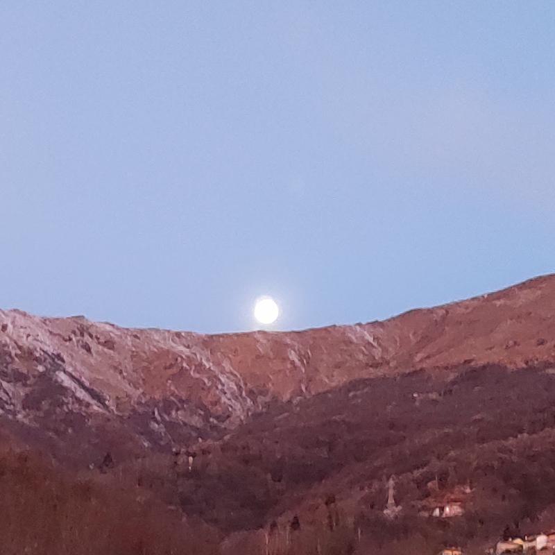 Fotosegnalazione di Forno canavese