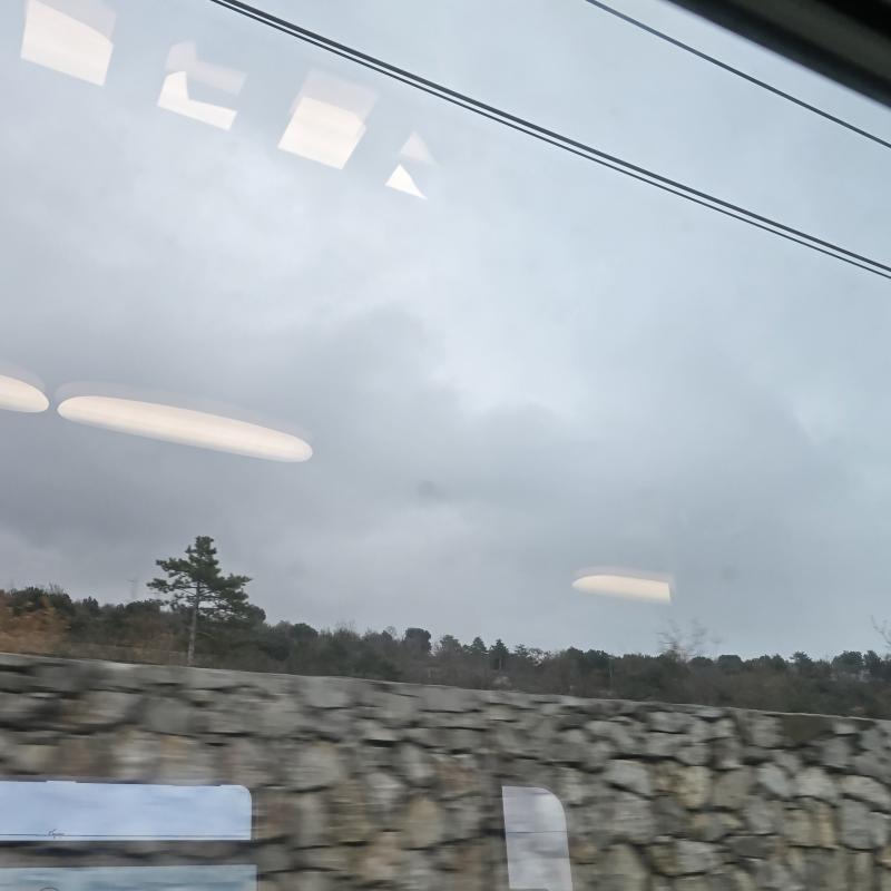 Fotosegnalazione di Monfalcone