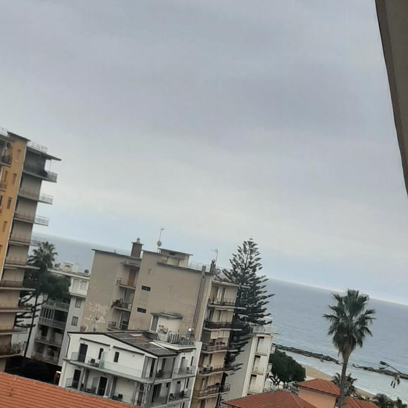 Fotosegnalazione di Arma di taggia