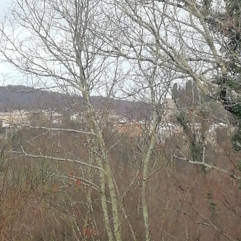 Fotosegnalazione di Rocca sinibalda