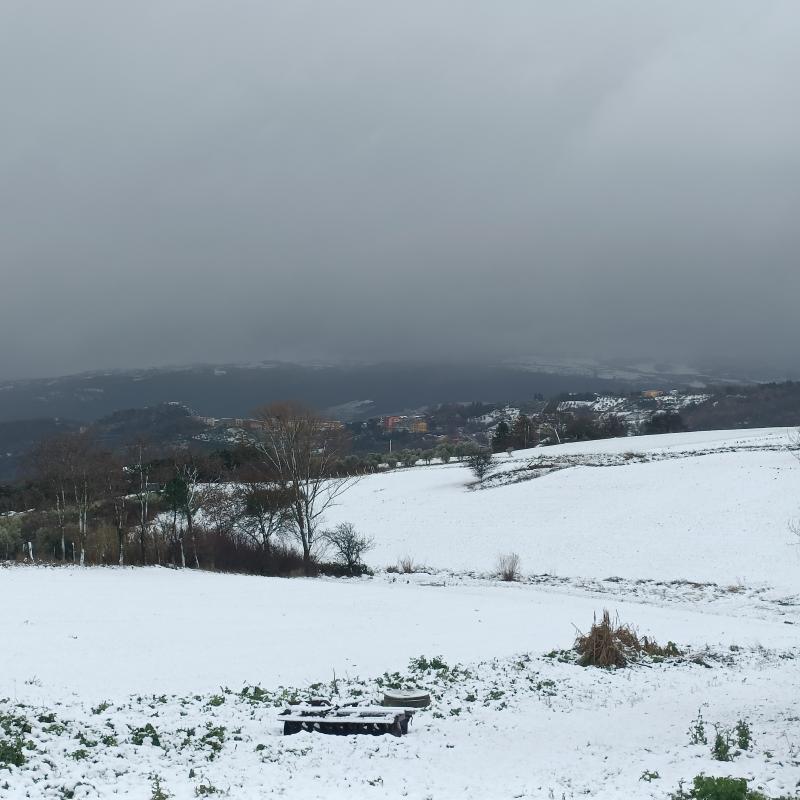 Fotosegnalazione di Calitri