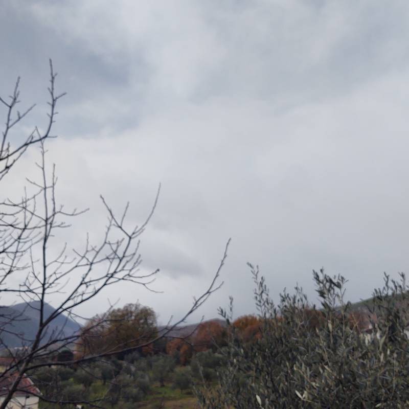Fotosegnalazione di Fornelli