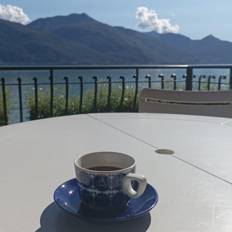 Musso dal balcone di casa