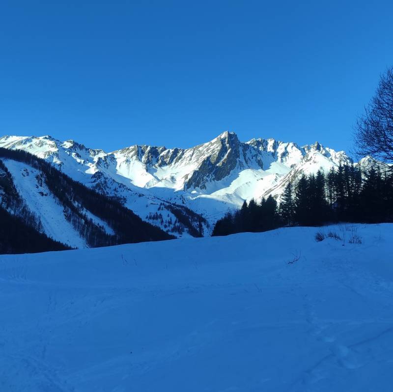 Fotosegnalazione di Crevacol