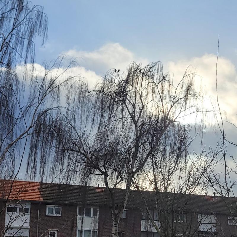 Fotosegnalazione di Tegelen