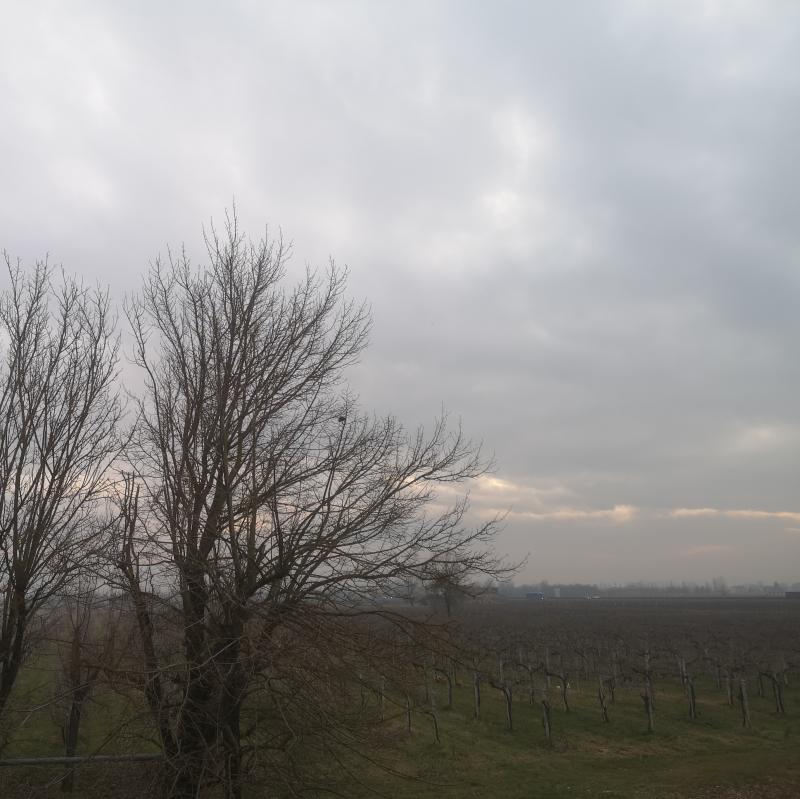 Fotosegnalazione di Carpi