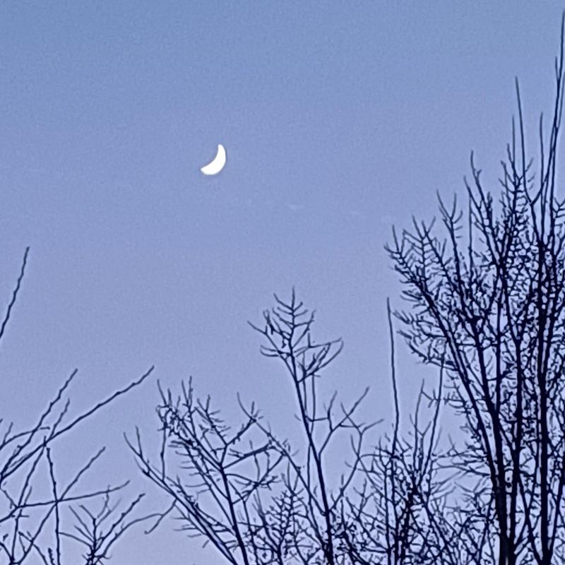 falce di luna