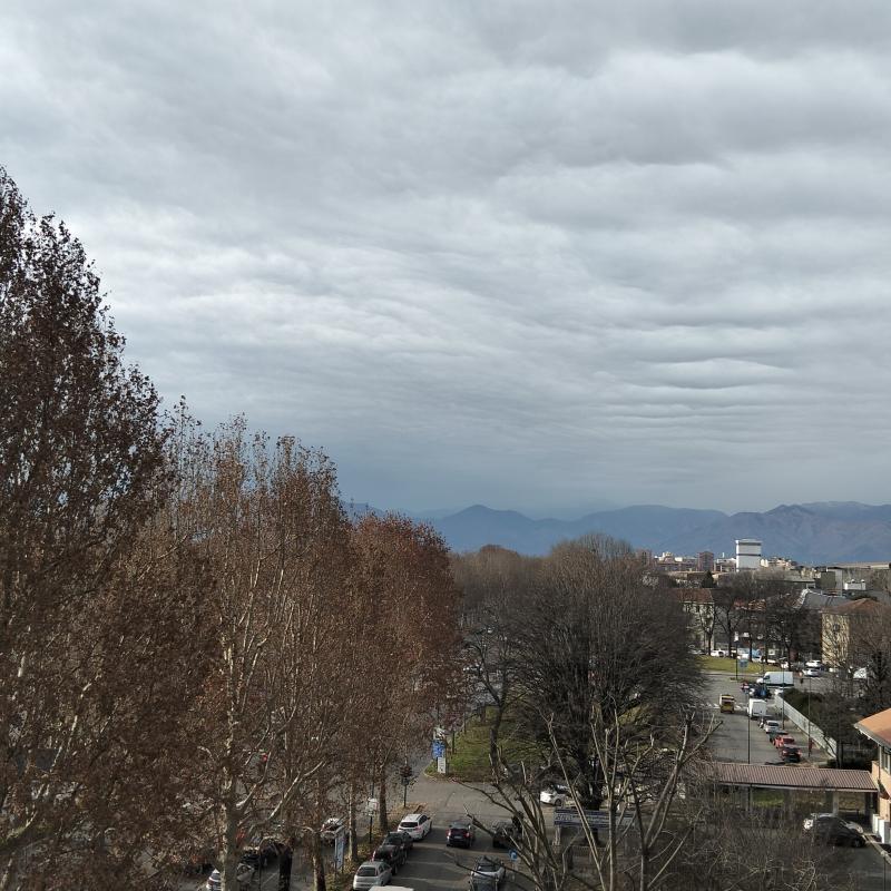 Fotosegnalazione di Torino san donato - campidoglio