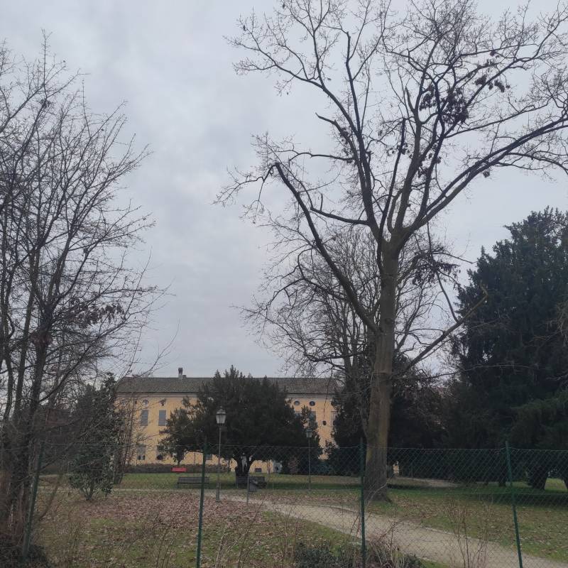 Fotosegnalazione di Castel san giovanni