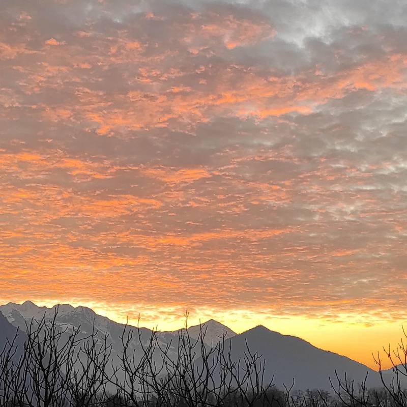 Fotosegnalazione di Berbenno di valtellina
