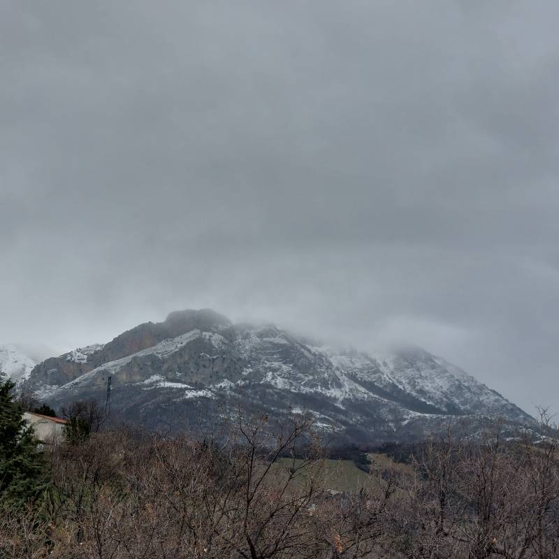 Fotosegnalazione di Carpineto della nora