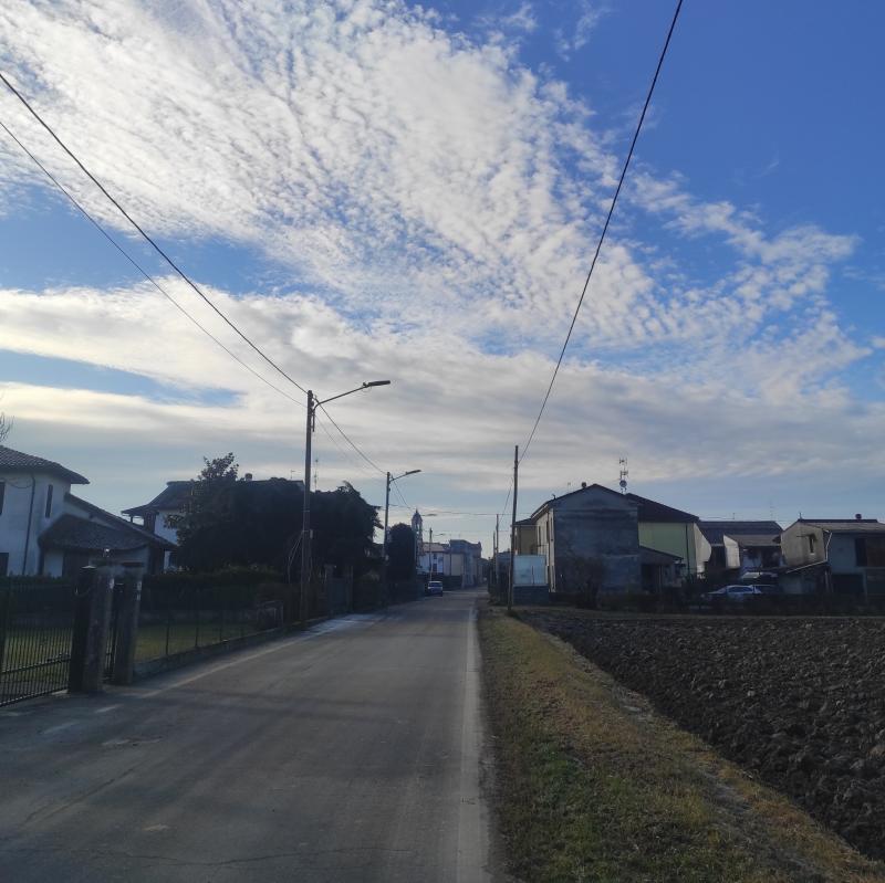 Fotosegnalazione di Zerbo