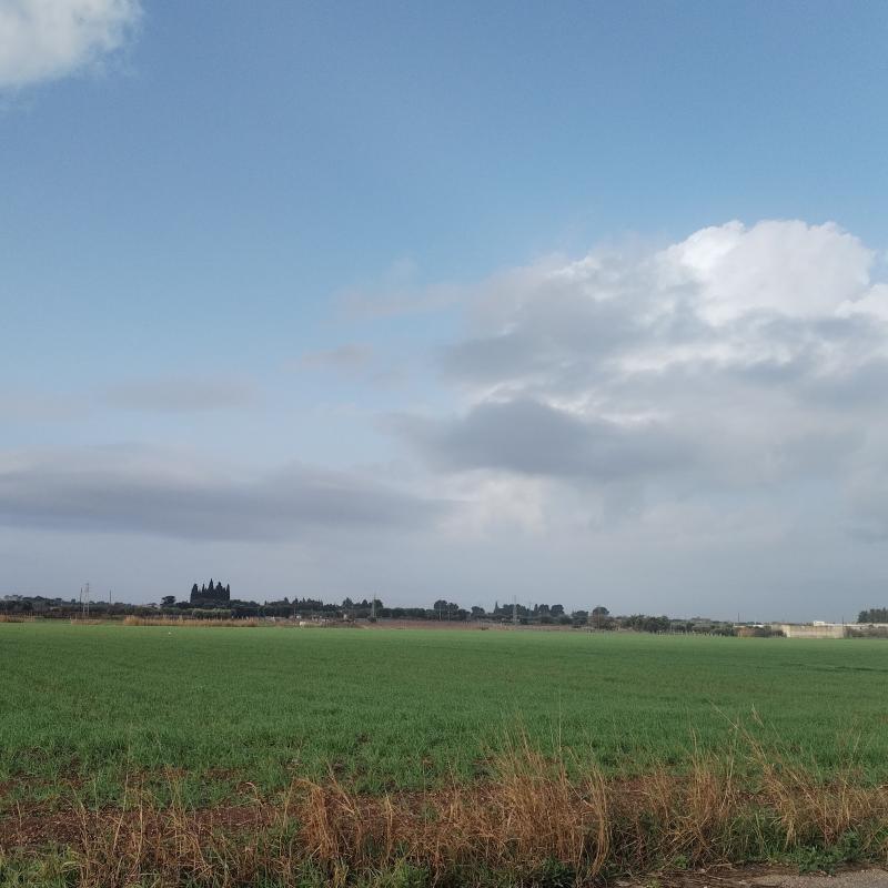 Fotosegnalazione di Carosino