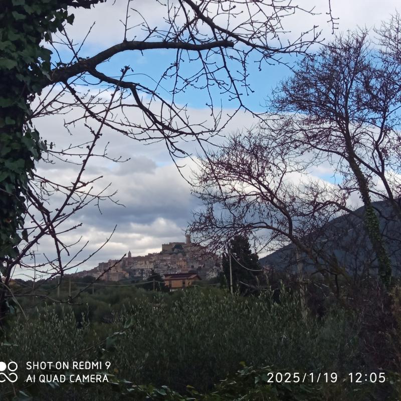 Fotosegnalazione di Palombara sabina