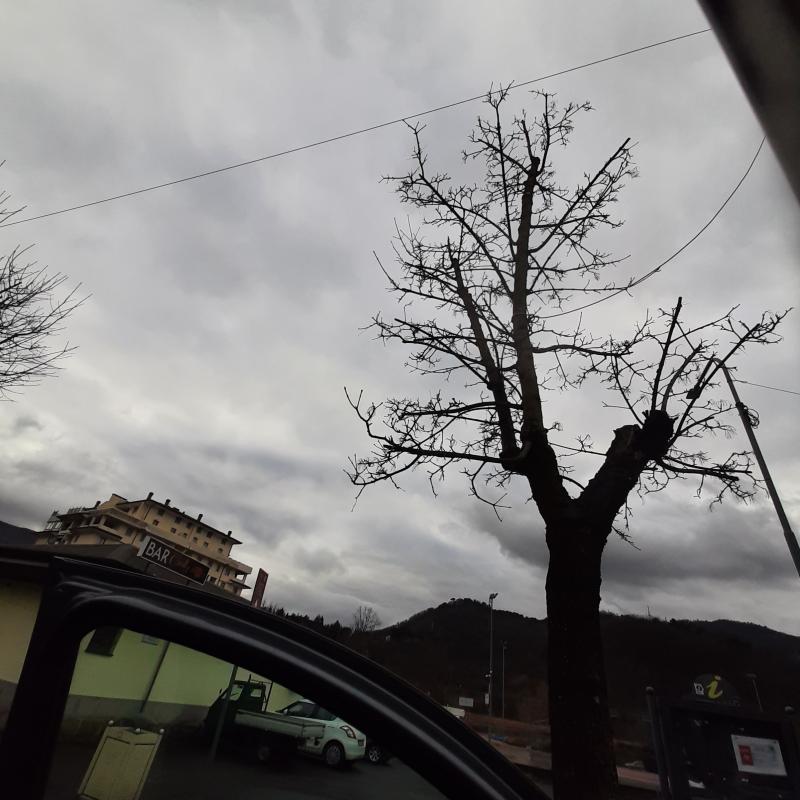 Fotosegnalazione di Aulla