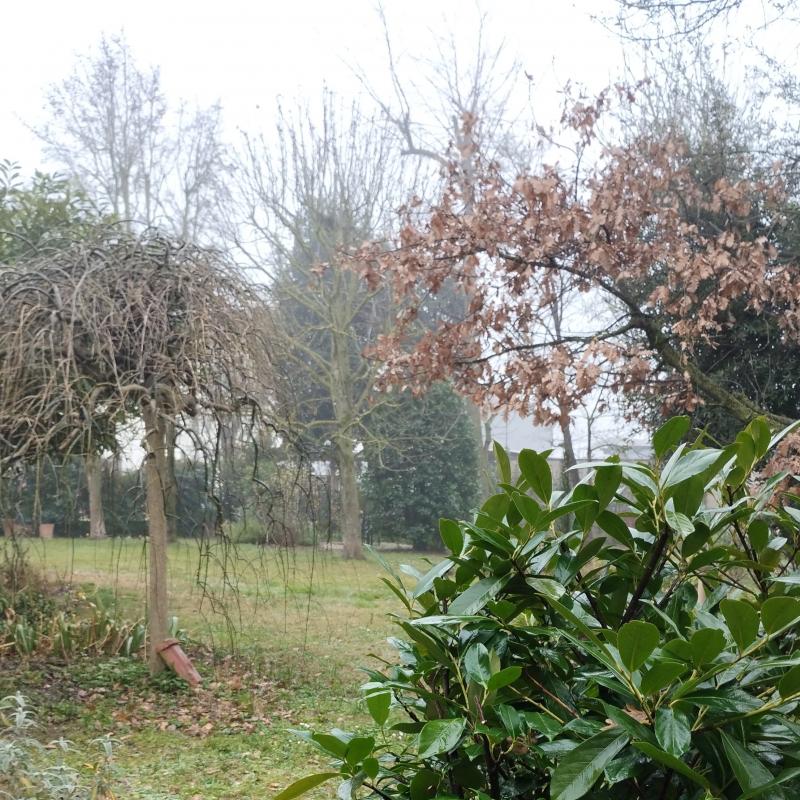 Fotosegnalazione di Ravenna piangipane