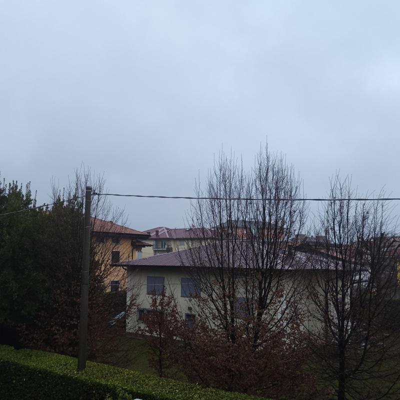 Fotosegnalazione di Bonate sotto