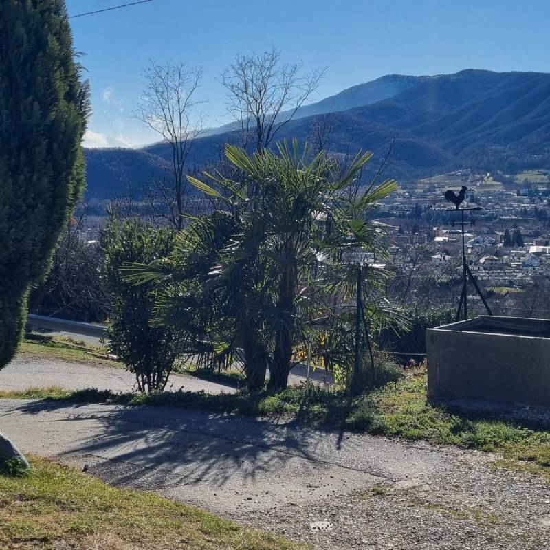 Fotosegnalazione di Luserna san giovanni
