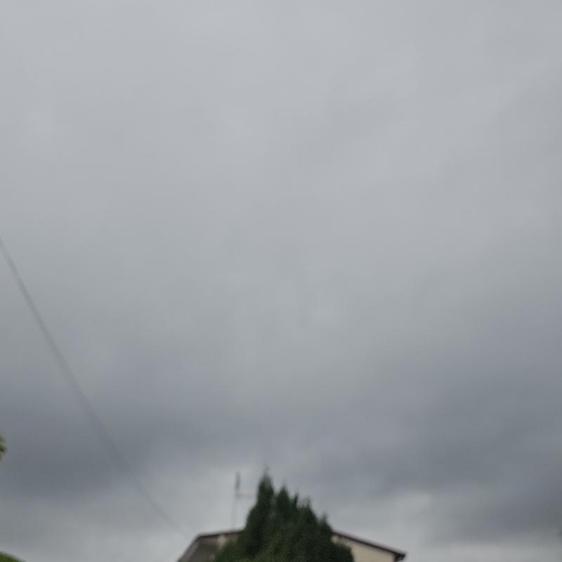 Fotosegnalazione di Catanzaro sud