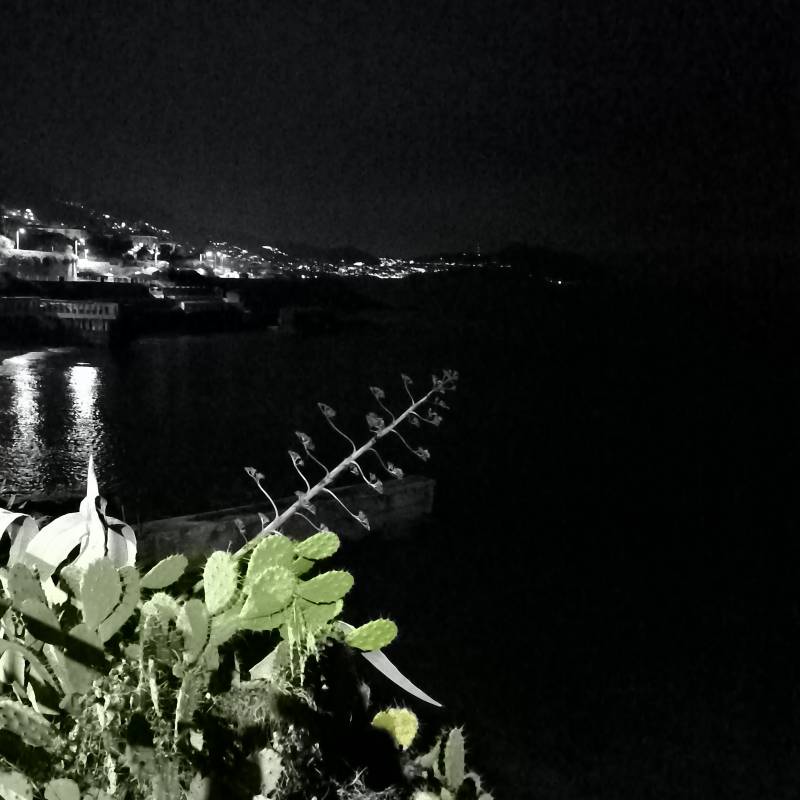 Fotosegnalazione di Genova levante litorale