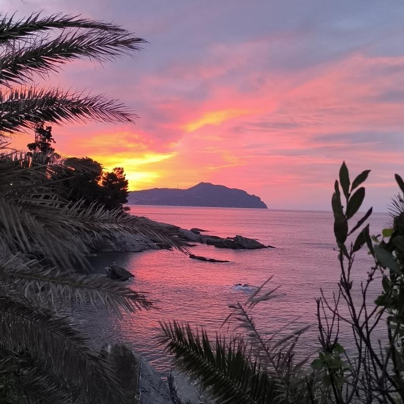 Fotosegnalazione di Genova nervi