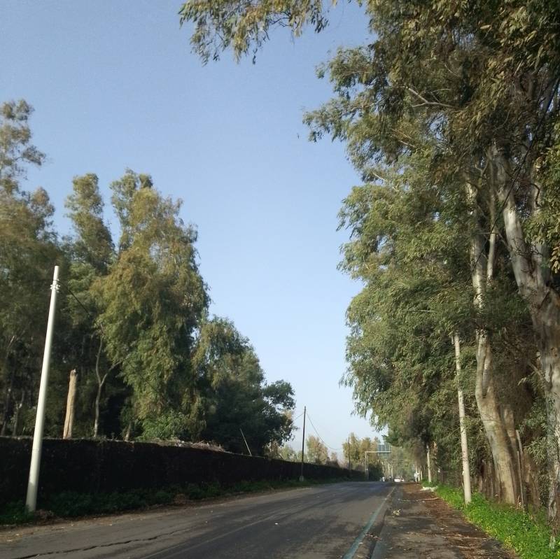Fotosegnalazione di Fiumefreddo di sicilia