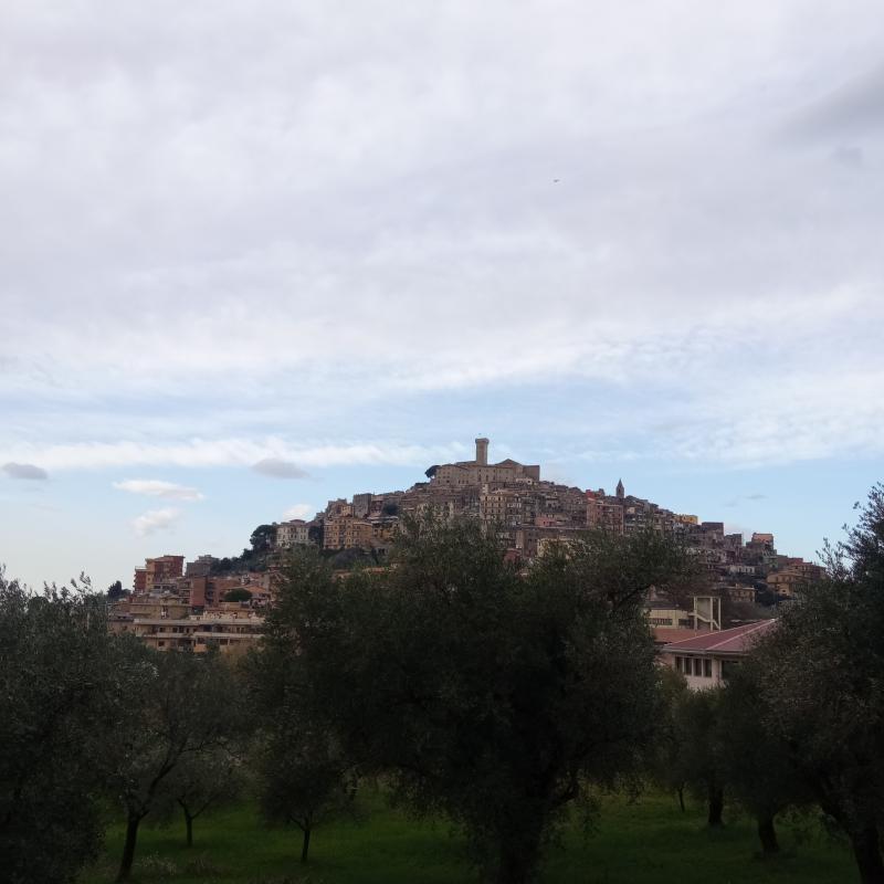 Fotosegnalazione di Palombara sabina