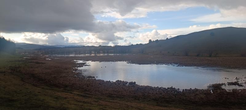 zsc palude del lago ariamacina by gianluca congi