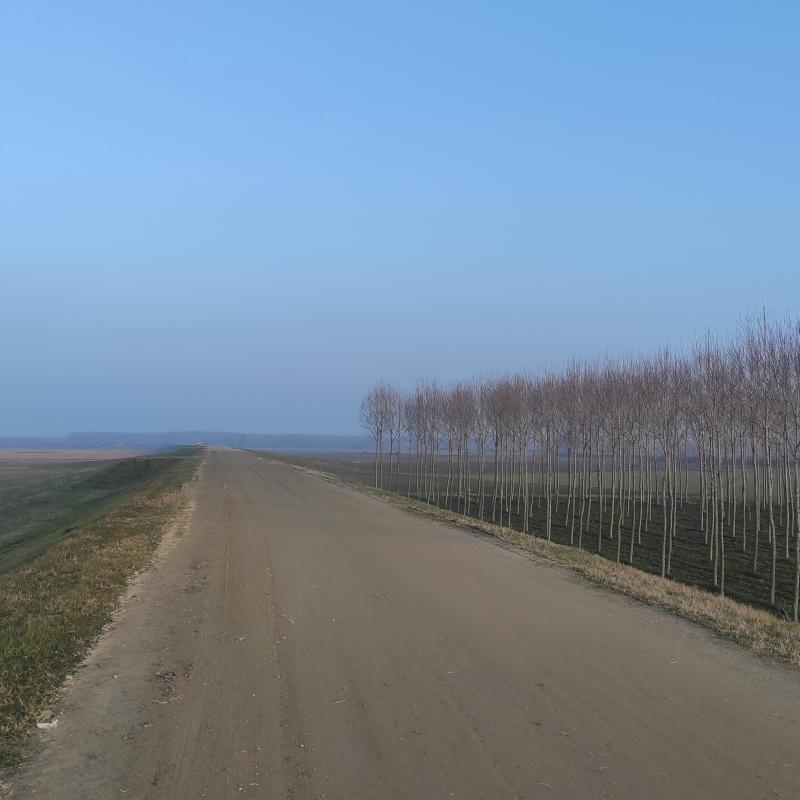 Fotosegnalazione di Arena po