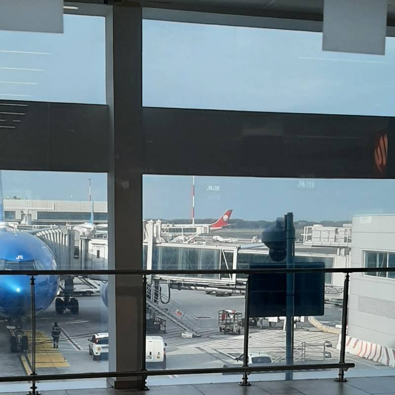 Fotosegnalazione di Roma fiumicino