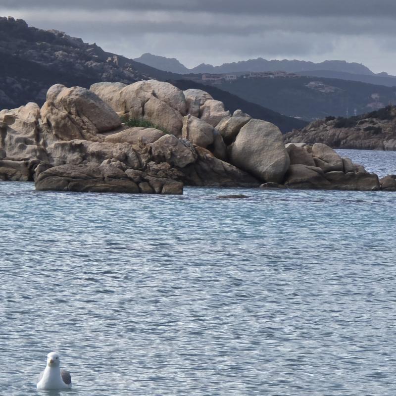 Fotosegnalazione di La maddalena