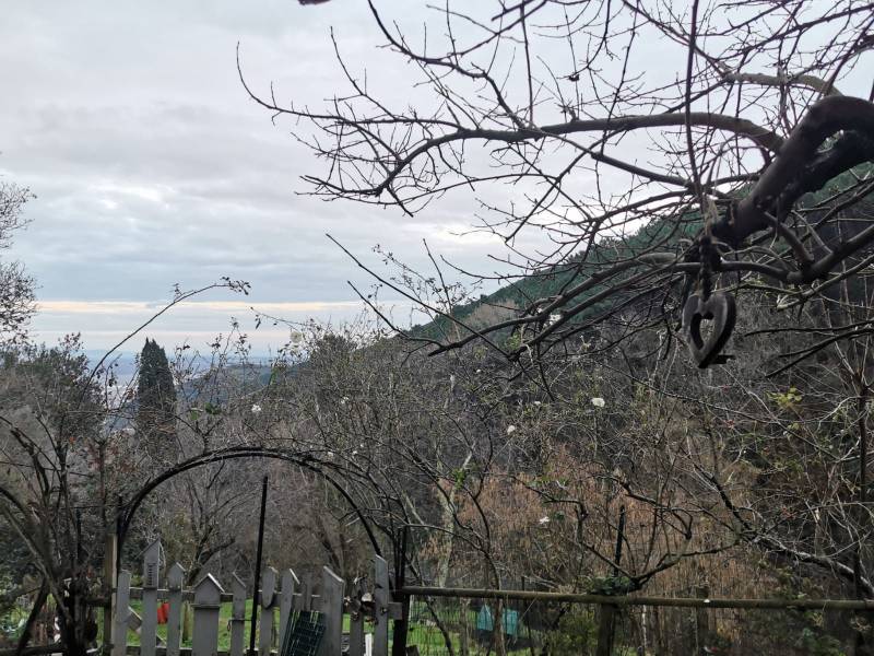 Buti foto del pomeriggio