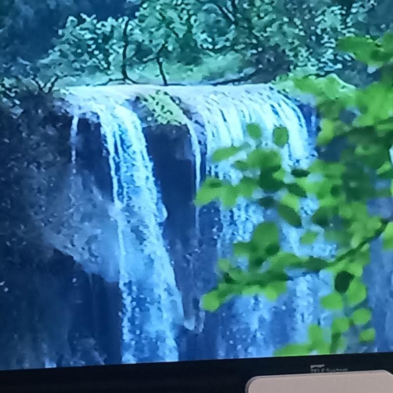Fotosegnalazione di Cerignola