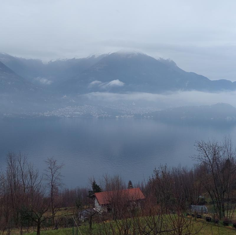 Fotosegnalazione di Lezzeno