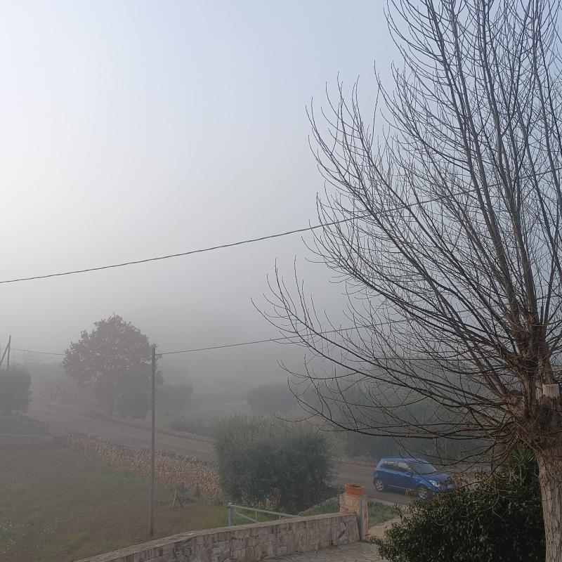Fotosegnalazione di Locorotondo