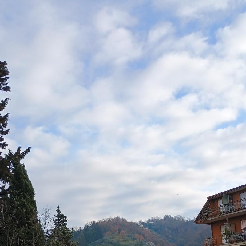 Fotosegnalazione di Olevano romano