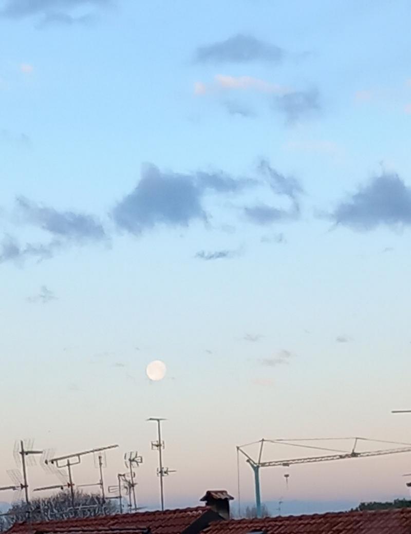 buongiorno Rho